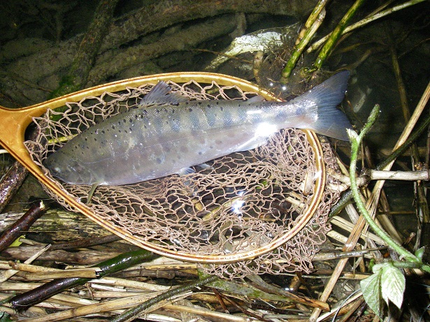 f0212059_7584314.jpg