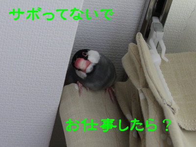 b0158061_20281897.jpg