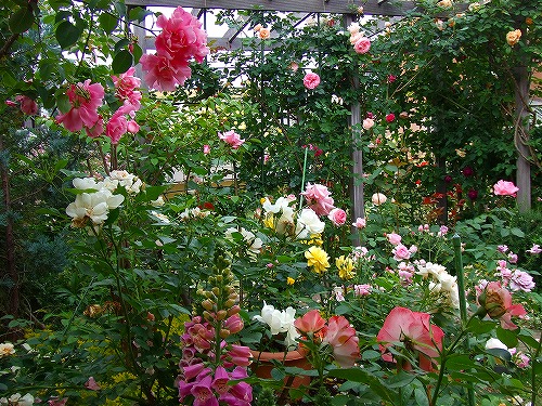 a0104162_22265429.jpg