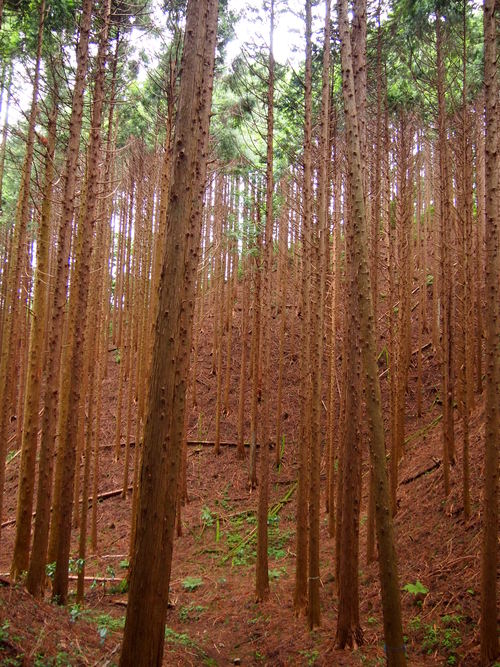c0144868_17493869.jpg