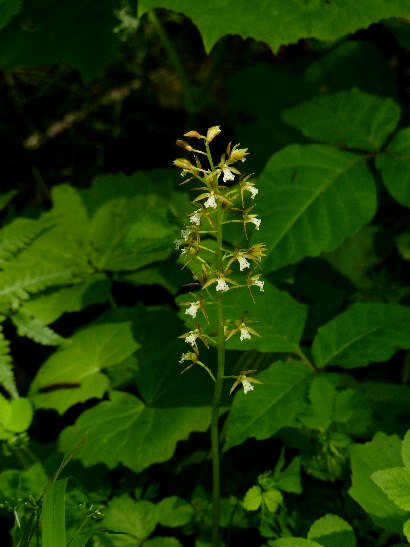 d0084473_21234848.jpg