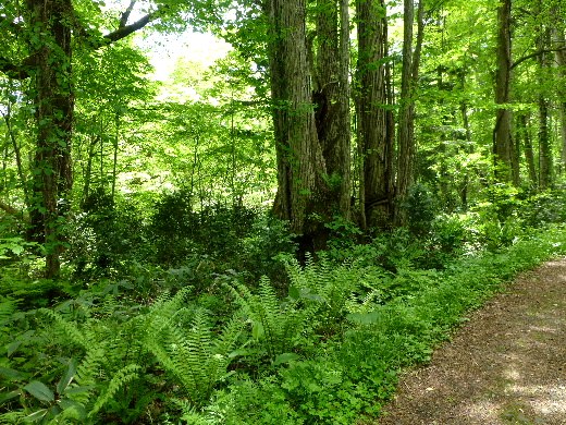 d0084473_21241295.jpg