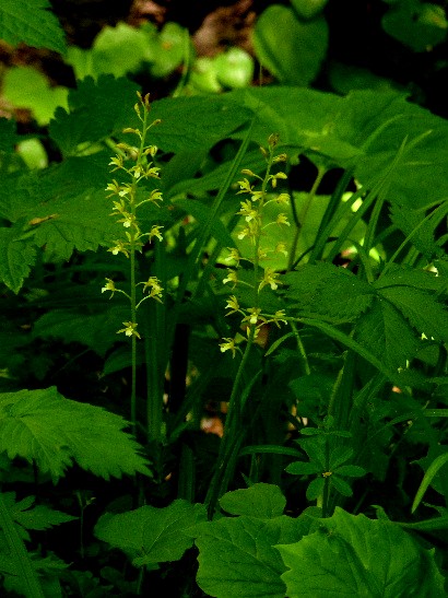 d0084473_2124396.jpg
