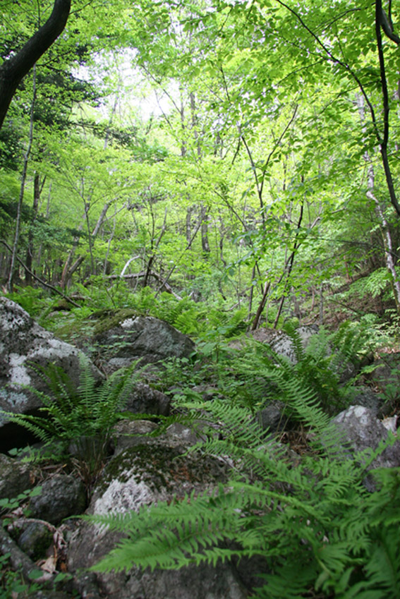 e0118274_15365874.jpg