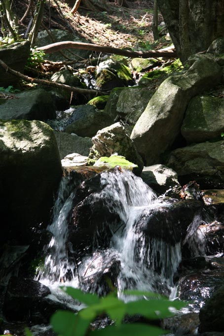 e0118274_1624339.jpg