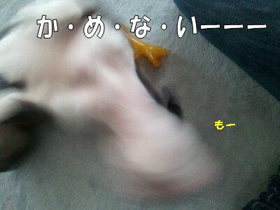 d0256580_9103588.jpg