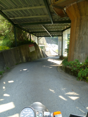 d0179983_1816594.jpg