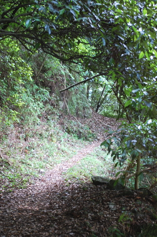 d0179983_18192544.jpg