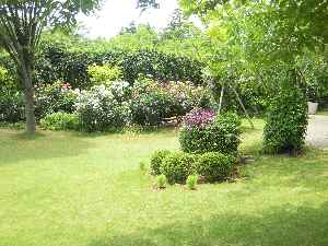 c0180384_16282165.jpg