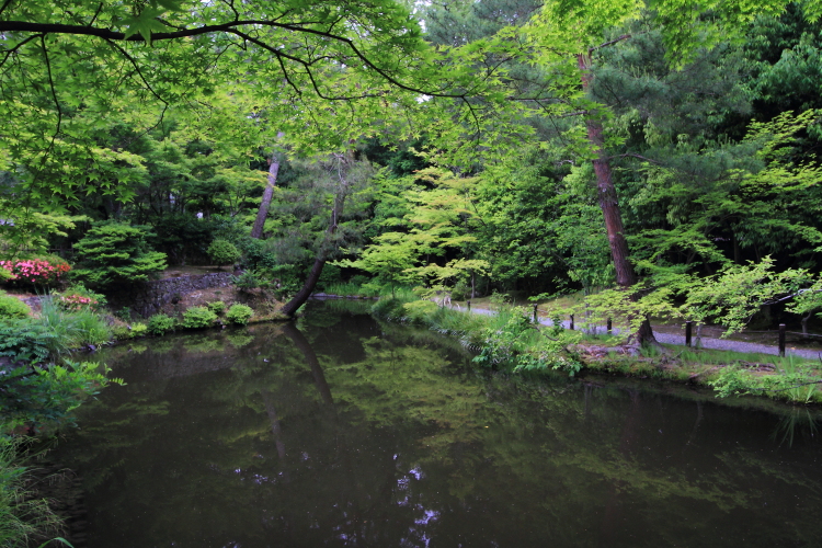 e0051888_6404033.jpg