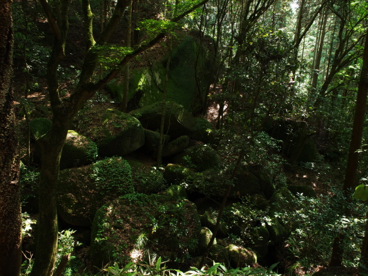 f0103688_81942.jpg