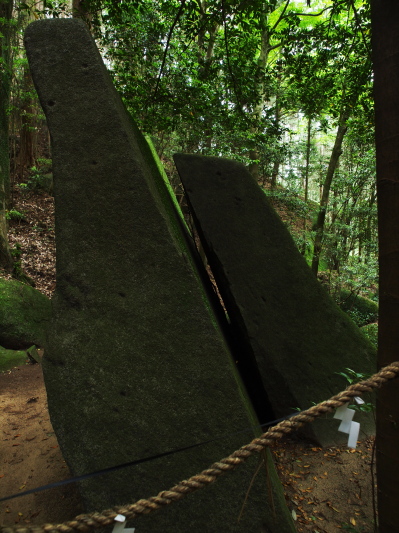 f0103688_8241393.jpg