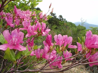 c0018489_0214030.jpg