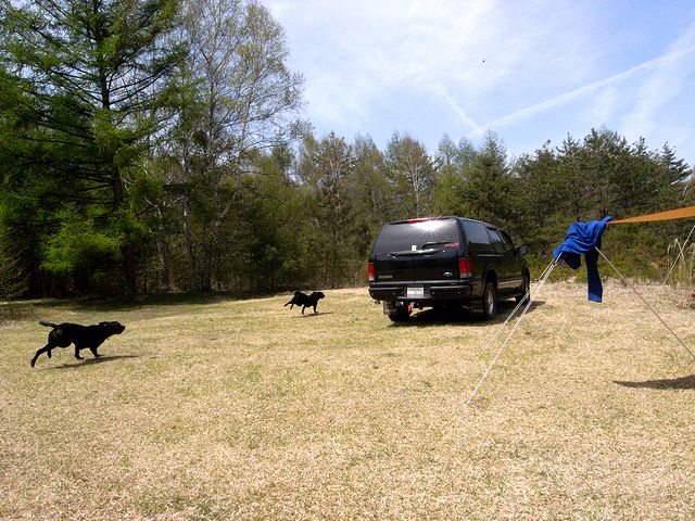 a0093592_213197.jpg