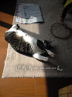 c0035001_1527010.jpg