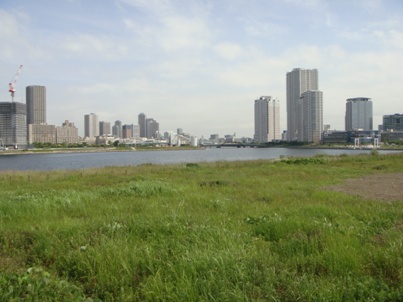 a0167803_22453591.jpg