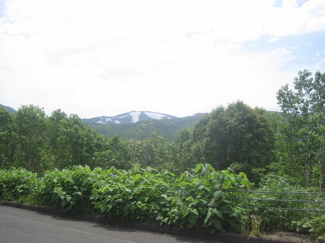 f0202703_2313578.jpg