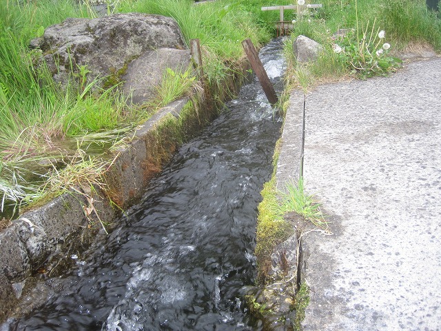 f0202703_23223391.jpg