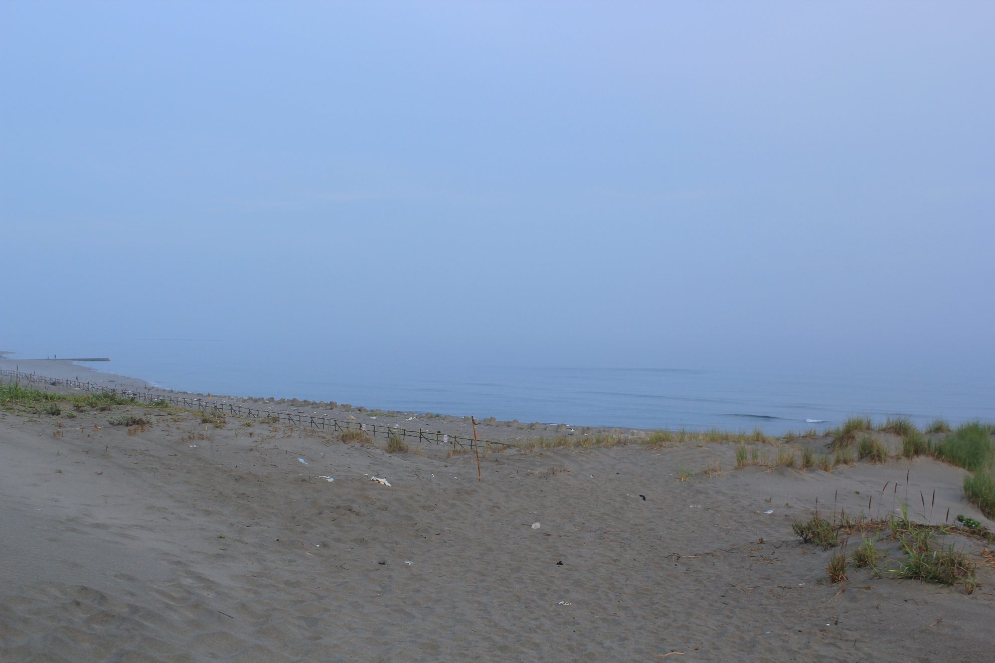 a0264604_743486.jpg