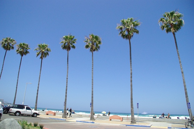 f0038904_8375854.jpg