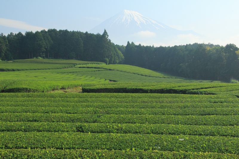 a0188405_220791.jpg