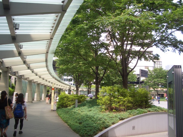 e0033713_8402033.jpg