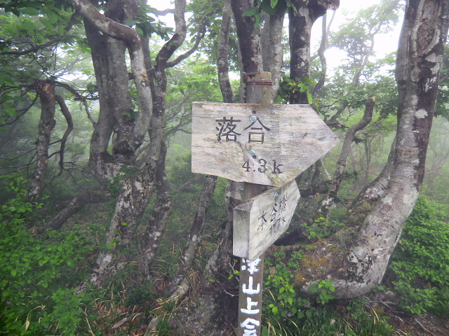 d0170615_8201952.jpg