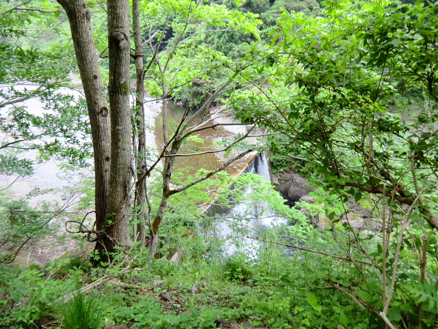 d0170615_8253251.jpg