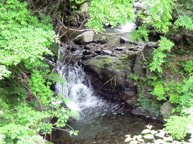 d0170615_8262127.jpg