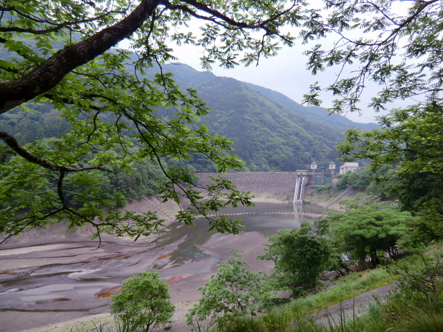 d0170615_8281262.jpg