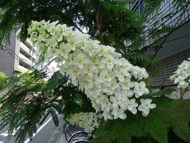 b0248216_12231976.jpg