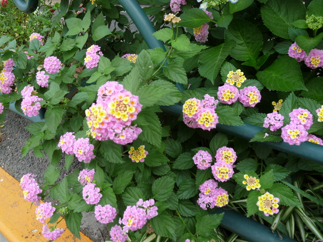 b0248216_14151265.jpg