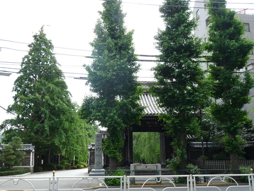 b0248216_16532510.jpg