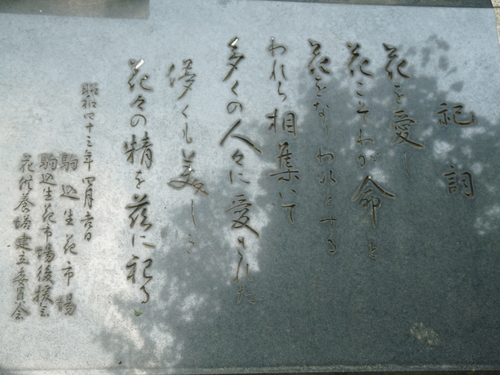b0248216_17181290.jpg