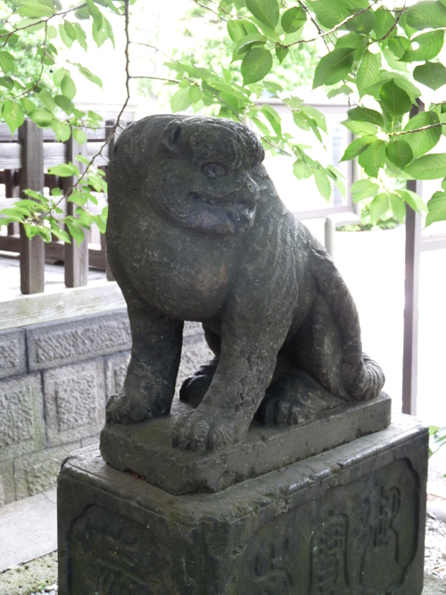 b0248216_1733068.jpg