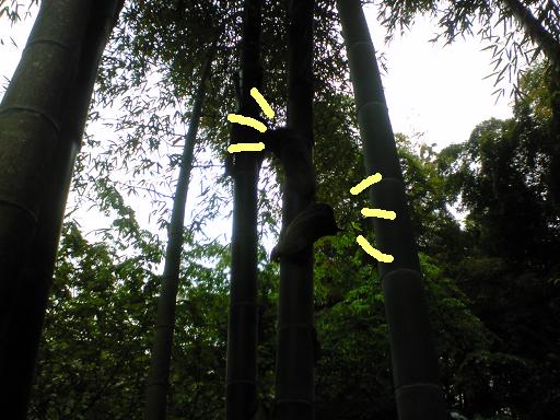 c0097620_21361215.jpg