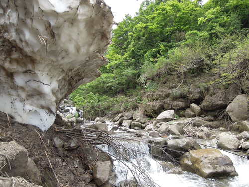 e0147226_2291587.jpg
