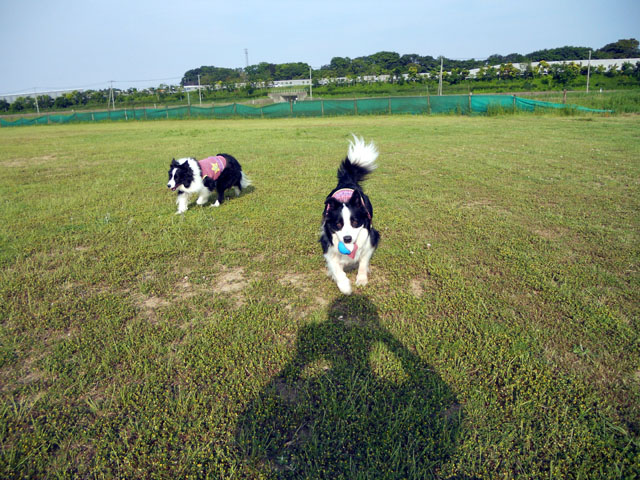 d0059230_8285792.jpg