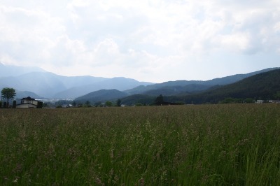 c0116631_2047327.jpg