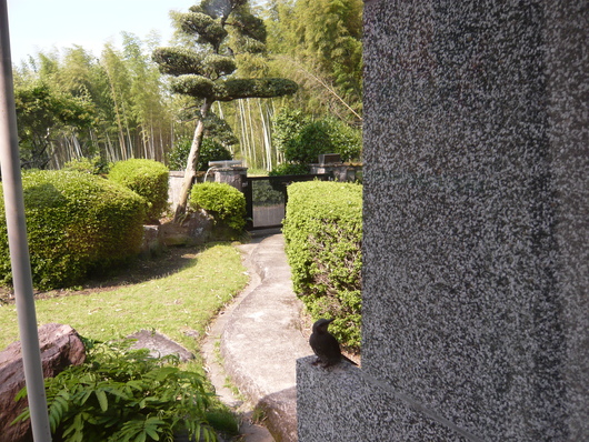 a0206332_8472228.jpg
