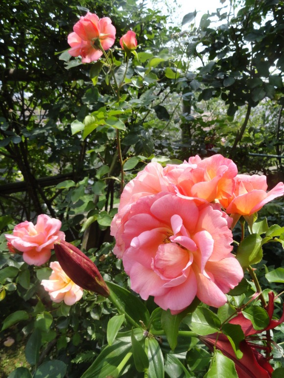 f0238932_22165913.jpg