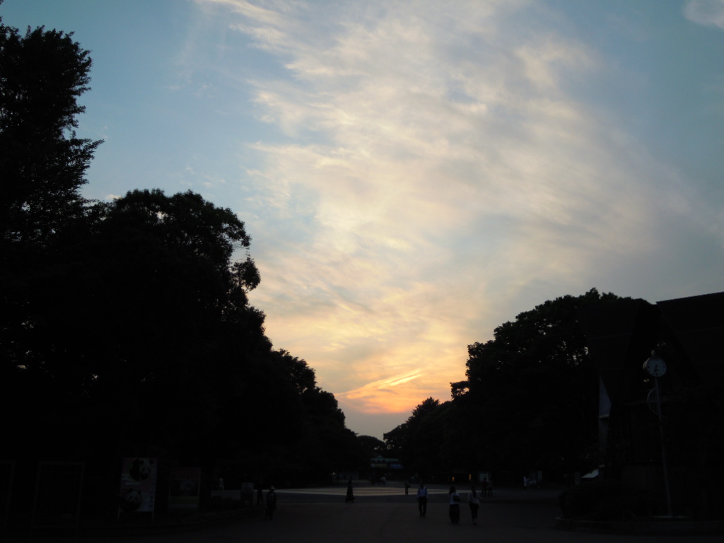 e0081334_0134844.jpg