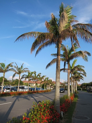 a0182241_9195358.jpg