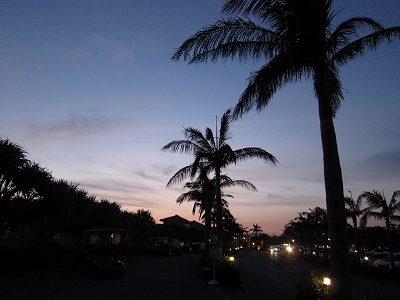 a0182241_9213275.jpg