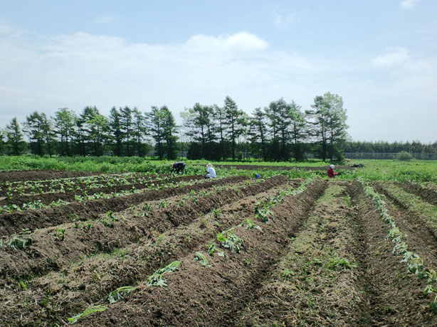 f0221648_8171466.jpg