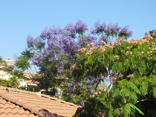 b0208652_0504872.jpg
