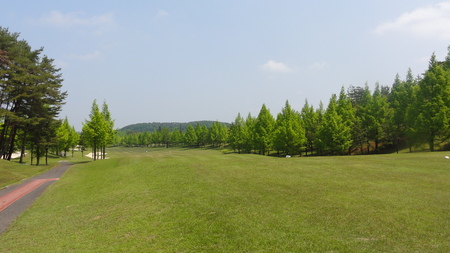 d0172852_21444593.jpg