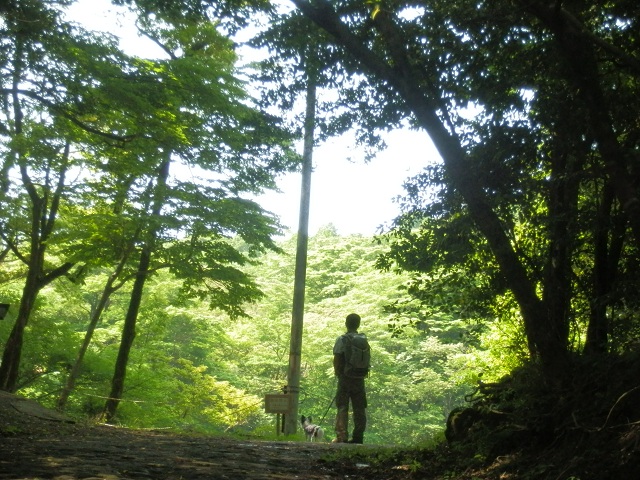 c0042869_13301766.jpg