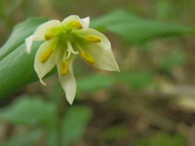 c0042869_13472147.jpg