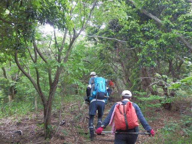 c0042869_146473.jpg